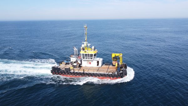 MULTICAT 2309 - 16.2 Tbp